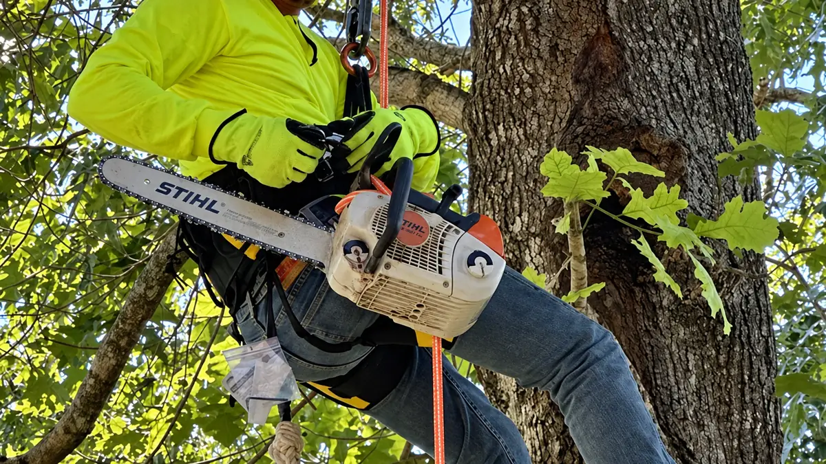 A climber at work