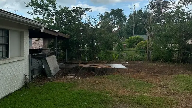A backyard cleared and cleaned
